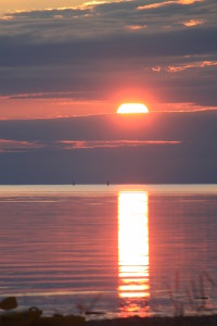 041